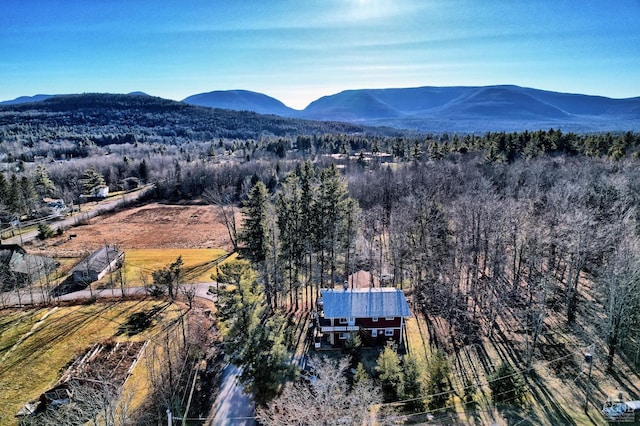 drone / aerial view featuring a mountain view