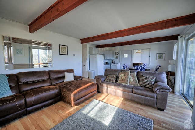 living room with beam ceiling and light hardwood / wood-style flooring