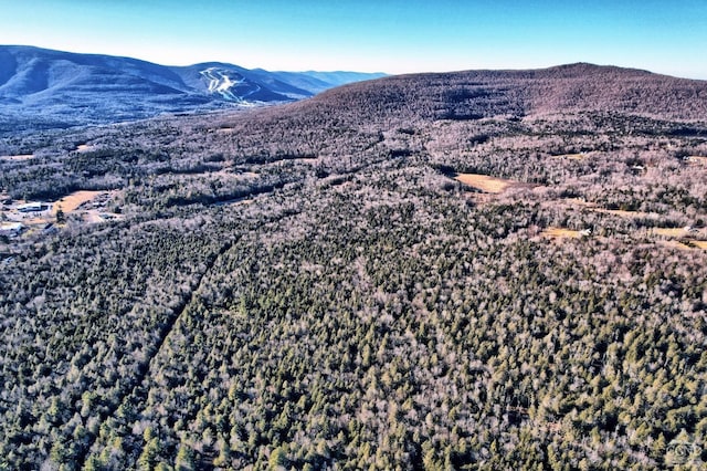 view of mountain feature