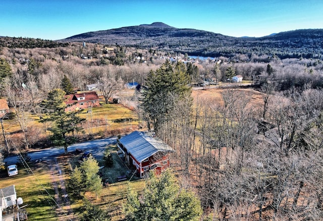 bird's eye view featuring a mountain view