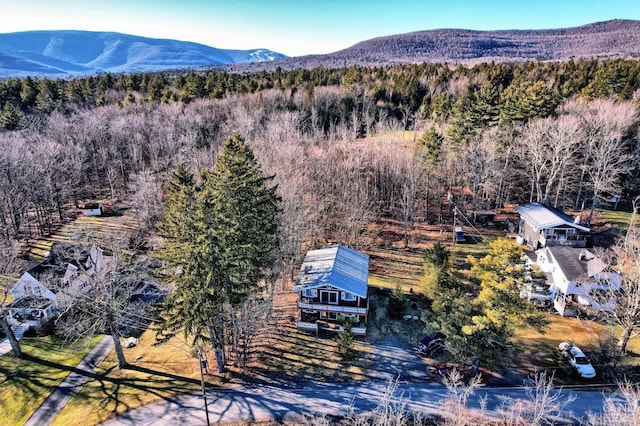 drone / aerial view with a mountain view