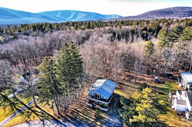 drone / aerial view with a mountain view