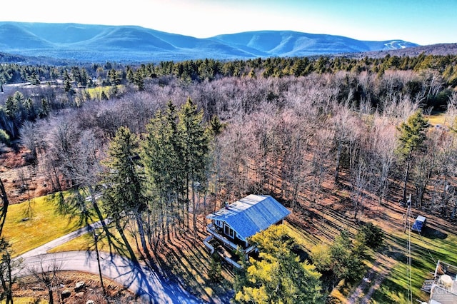 drone / aerial view with a mountain view