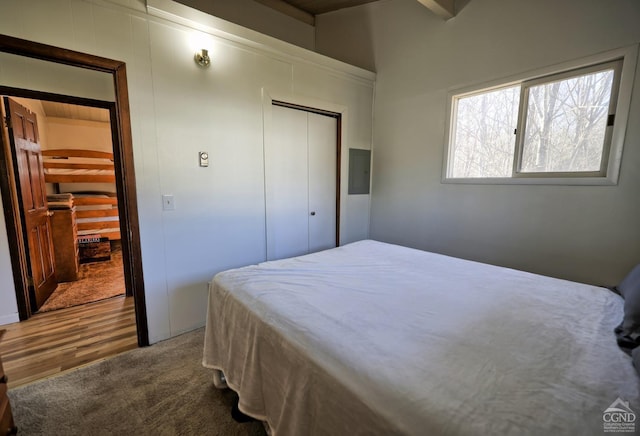 bedroom with a closet and wood-type flooring