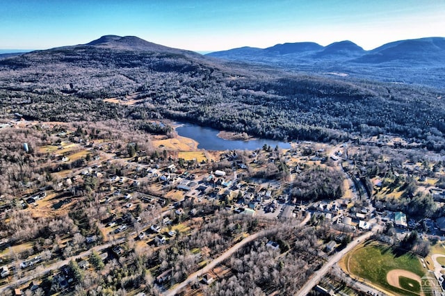 property view of mountains featuring a water view