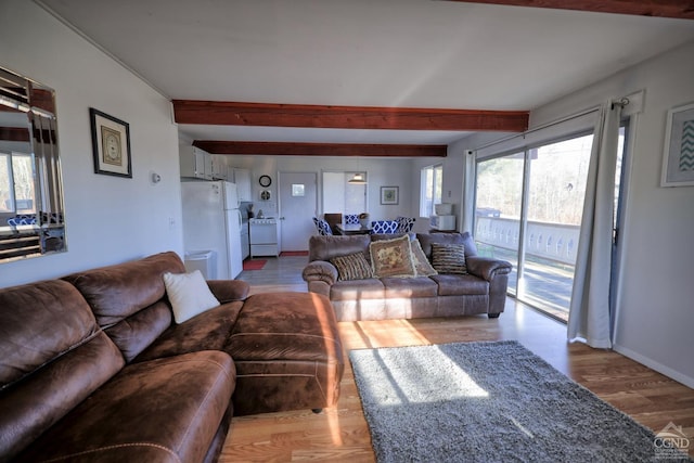 living room with beam ceiling, a wealth of natural light, and light hardwood / wood-style flooring