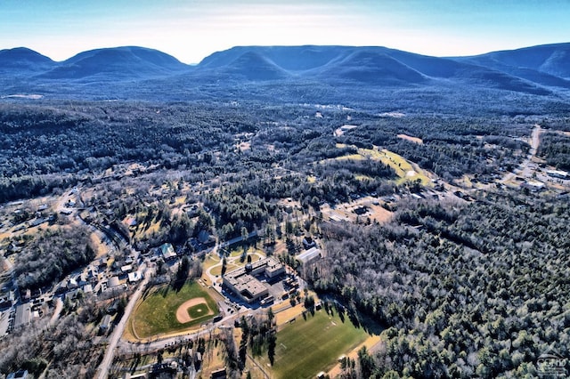 drone / aerial view with a mountain view