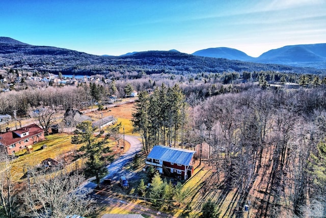 aerial view with a mountain view