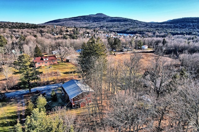 birds eye view of property with a mountain view