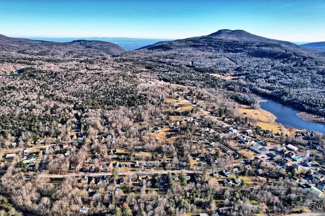 mountain view with a water view