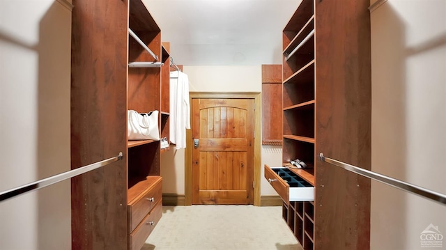 view of spacious closet