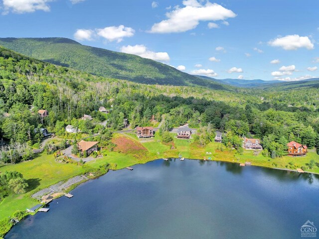 birds eye view of property with a water and mountain view