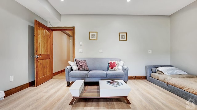 living room with light hardwood / wood-style flooring