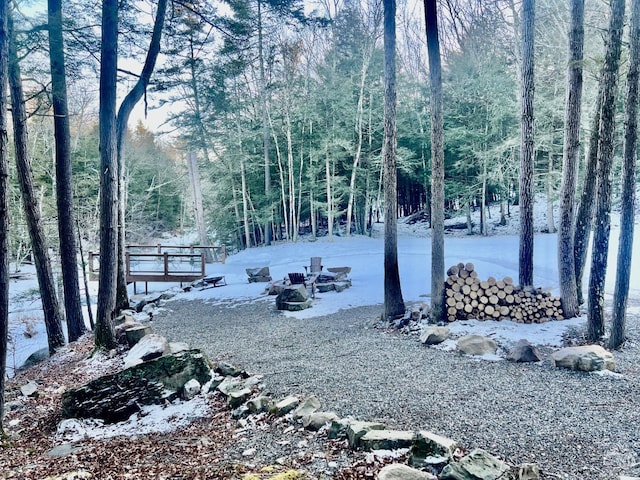 view of yard with a wooded view