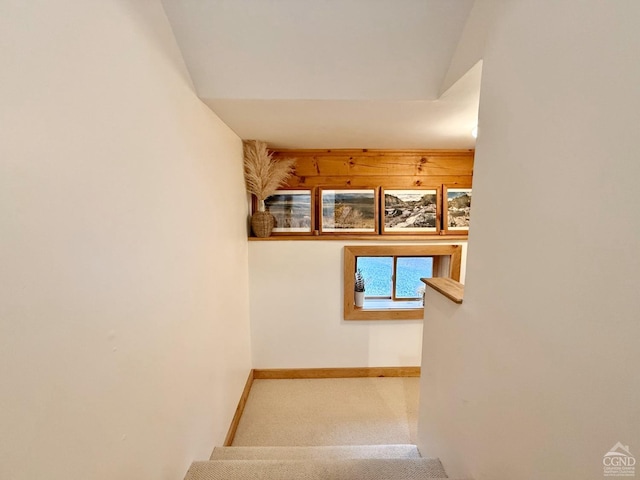 stairway with carpet and baseboards