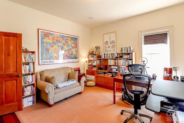 office area with carpet floors