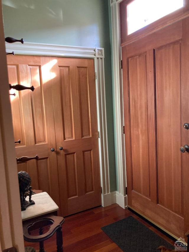 entrance foyer featuring dark hardwood / wood-style flooring