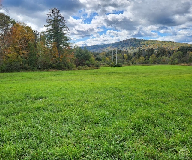 0 County Route 9, New Lebanon NY, 12125 land for sale