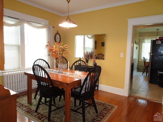 dining room with hardwood / wood-style floors, radiator, and crown molding