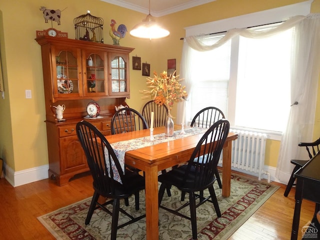 dining area with ornamental molding, radiator, and light hardwood / wood-style flooring