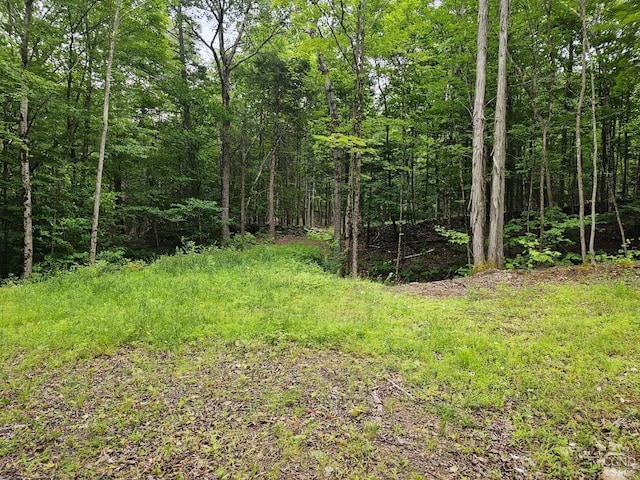 0 Bogardus Rd, Cairo NY, 12405 land for sale