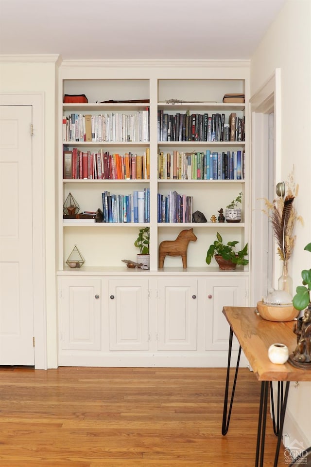 sitting room featuring light wood-type flooring