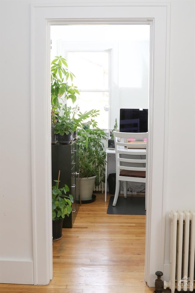 interior space with light hardwood / wood-style floors and radiator