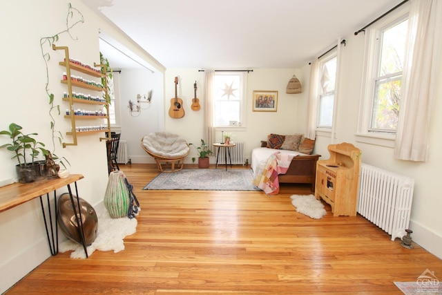 living area with radiator heating unit, light wood-type flooring, and a wealth of natural light