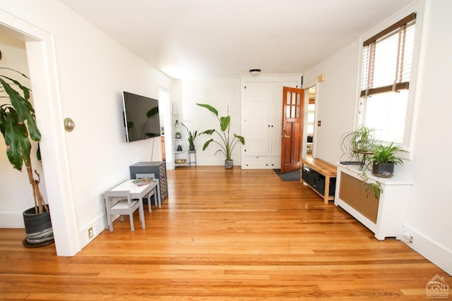 living room with light hardwood / wood-style floors