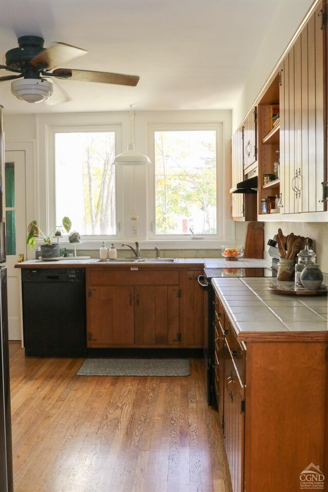 kitchen featuring light hardwood / wood-style floors, dishwasher, range with electric stovetop, and a healthy amount of sunlight