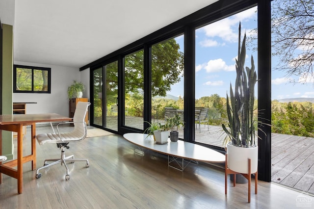 entryway with light hardwood / wood-style floors and a wealth of natural light