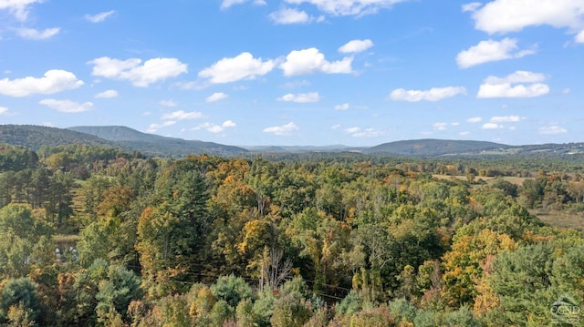 property view of mountains