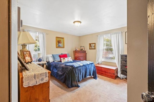 bedroom featuring carpet