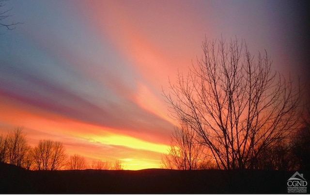 view of nature at dusk