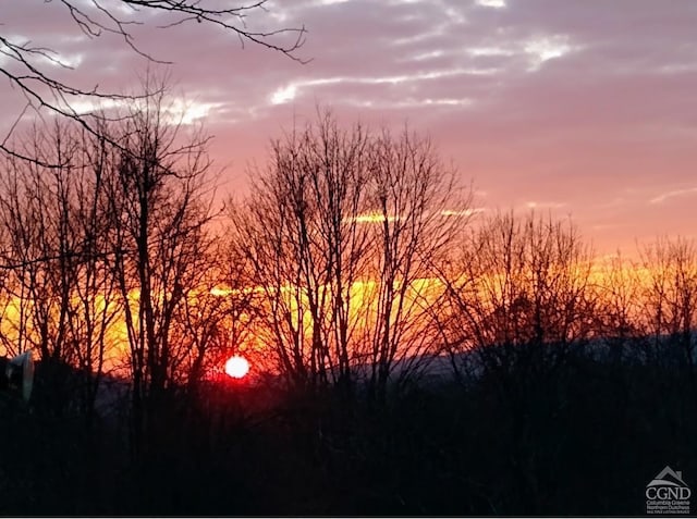 view of nature at dusk