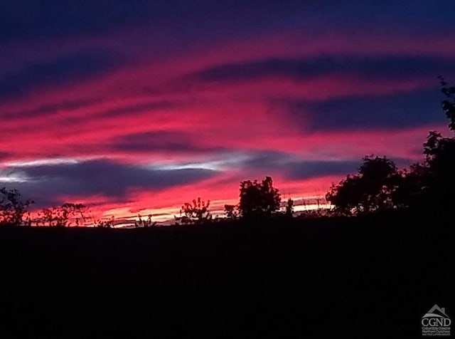 view of nature at dusk