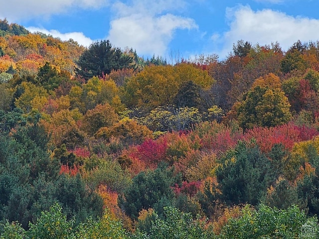 view of nature