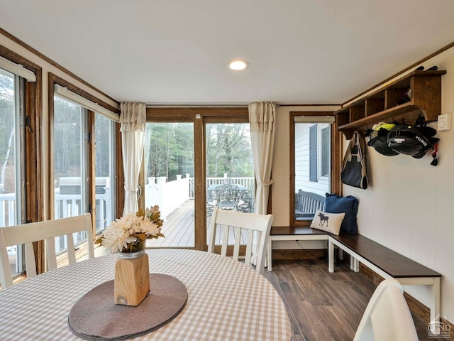 sunroom featuring plenty of natural light