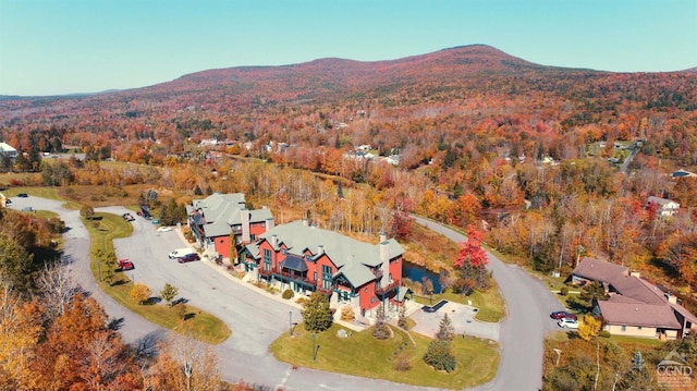 birds eye view of property featuring a mountain view