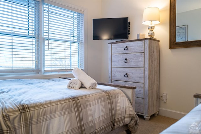 bedroom with carpet floors