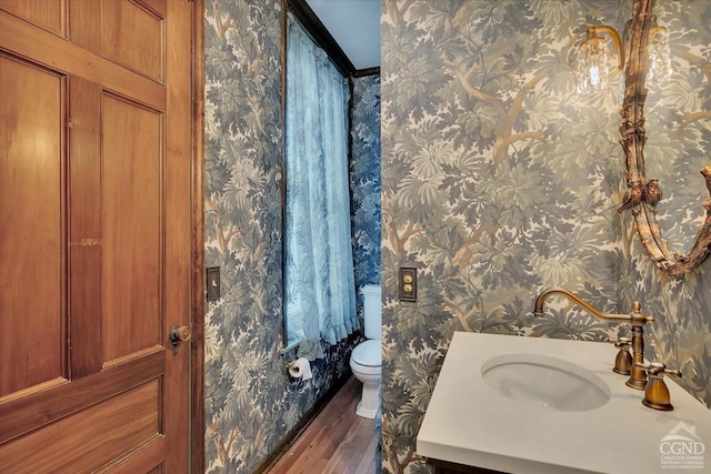 bathroom featuring vanity, toilet, and wood-type flooring