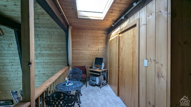 storage room with a skylight