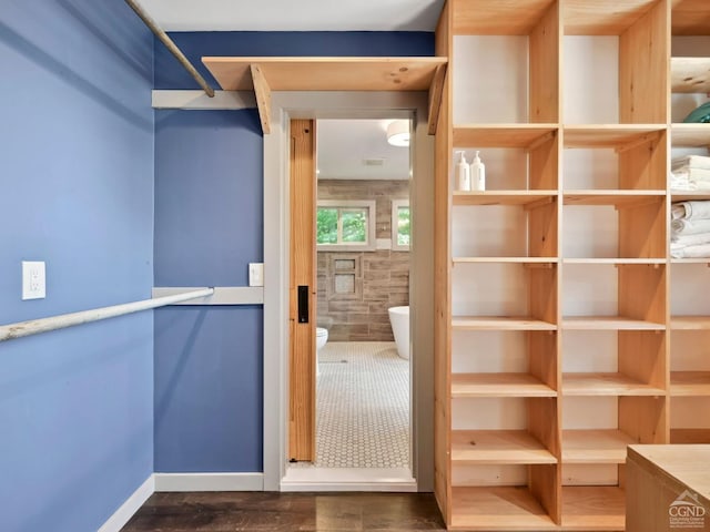 walk in closet featuring dark hardwood / wood-style flooring