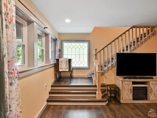 staircase featuring wood-type flooring