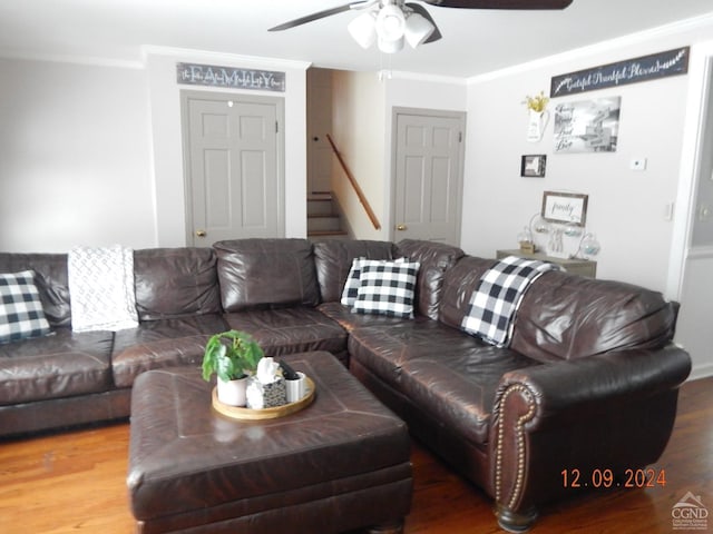 living room featuring wood-type flooring, ceiling fan, and crown molding