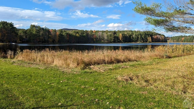 0 Conifer Lake Rd, Jewett NY, 12444 land for sale