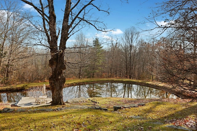 view of water feature