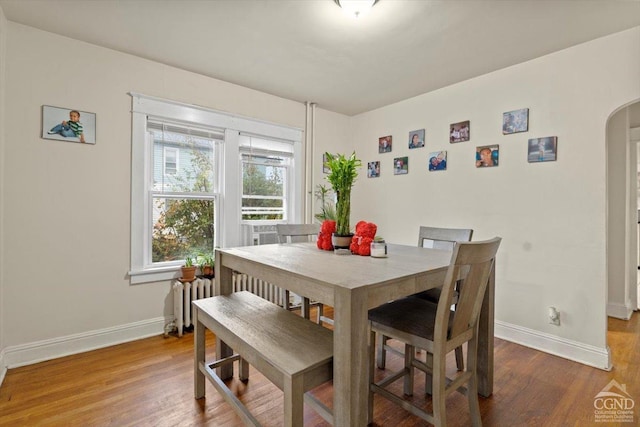 dining room with radiator heating unit and hardwood / wood-style flooring