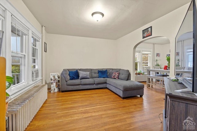 living room with light wood-type flooring and radiator