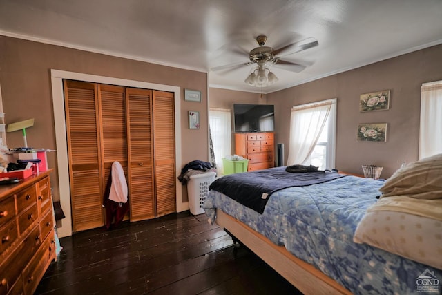 bedroom with ceiling fan, a closet, dark hardwood / wood-style floors, and ornamental molding